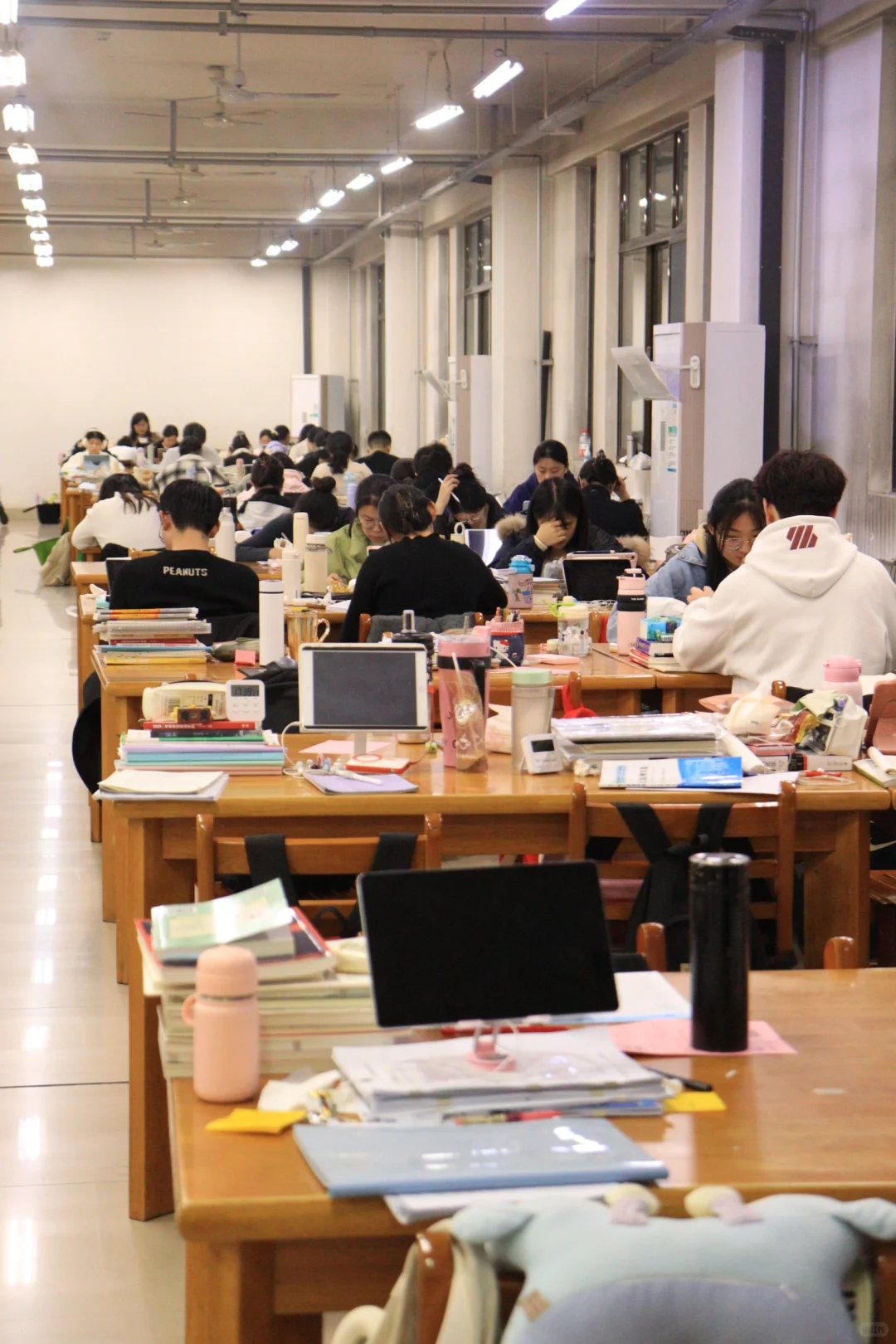 下一站，上岸！