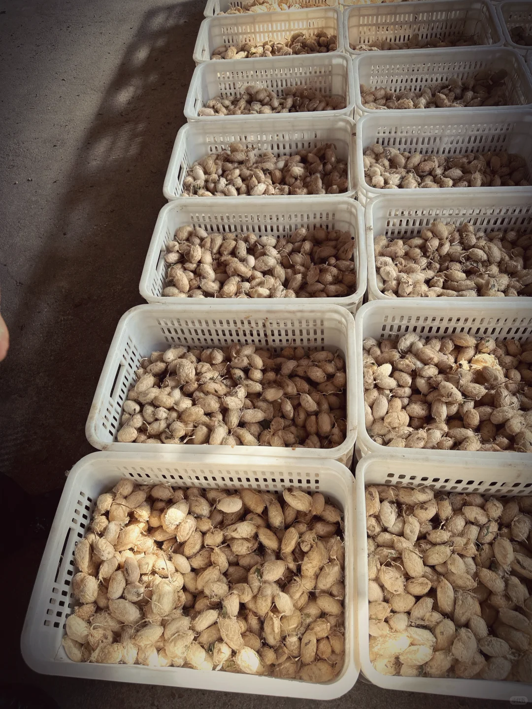 为热爱奔走的田野人