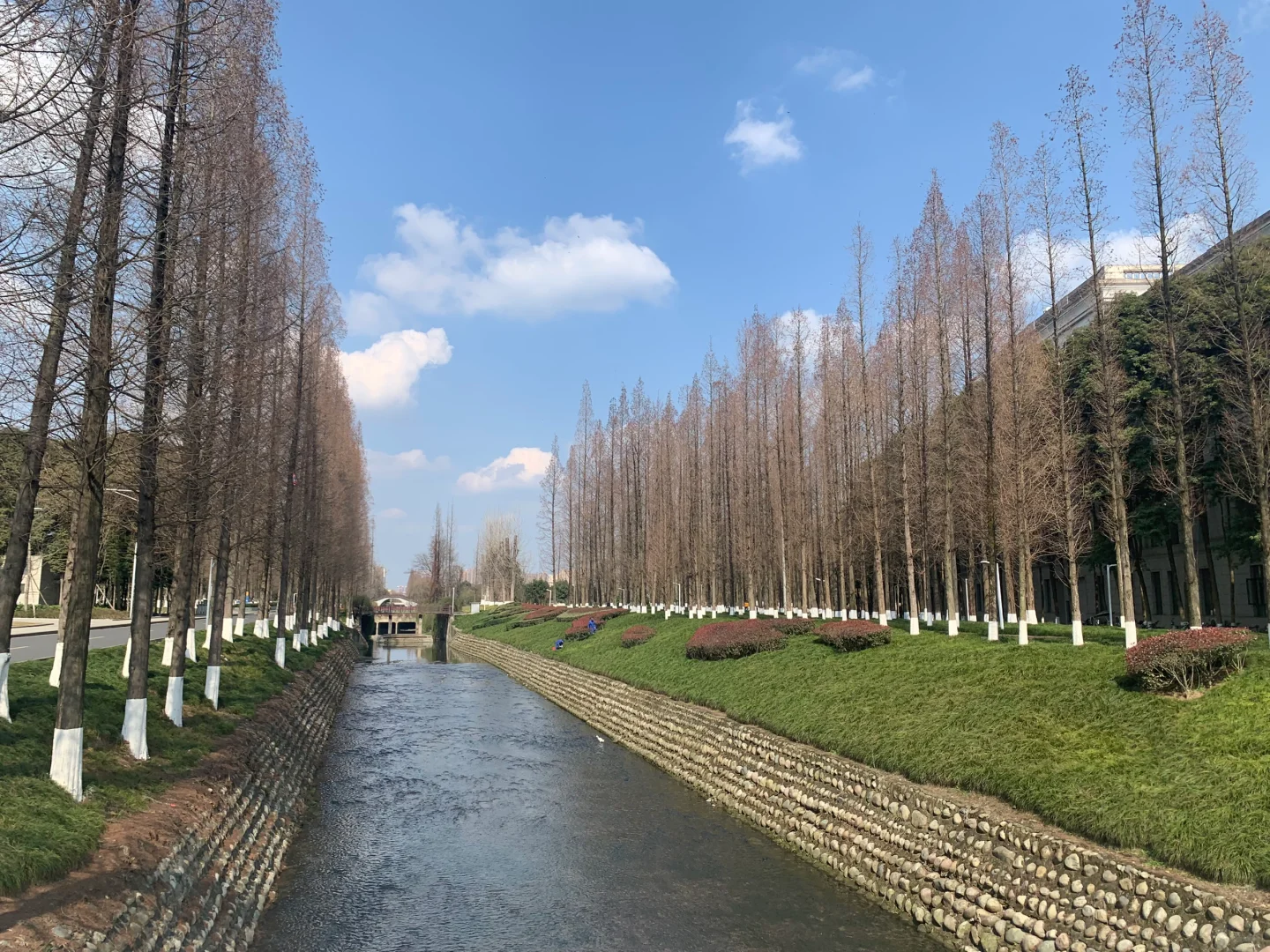 大学没图书馆,校外馆周一闭馆,学生党哭了