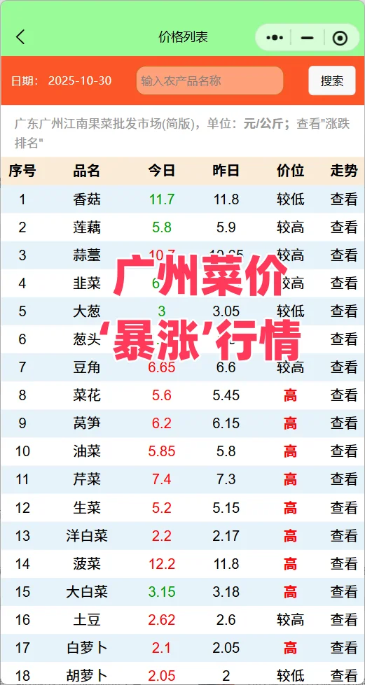 广州10月菜价‘暴涨’行情，菜农赚钱季节