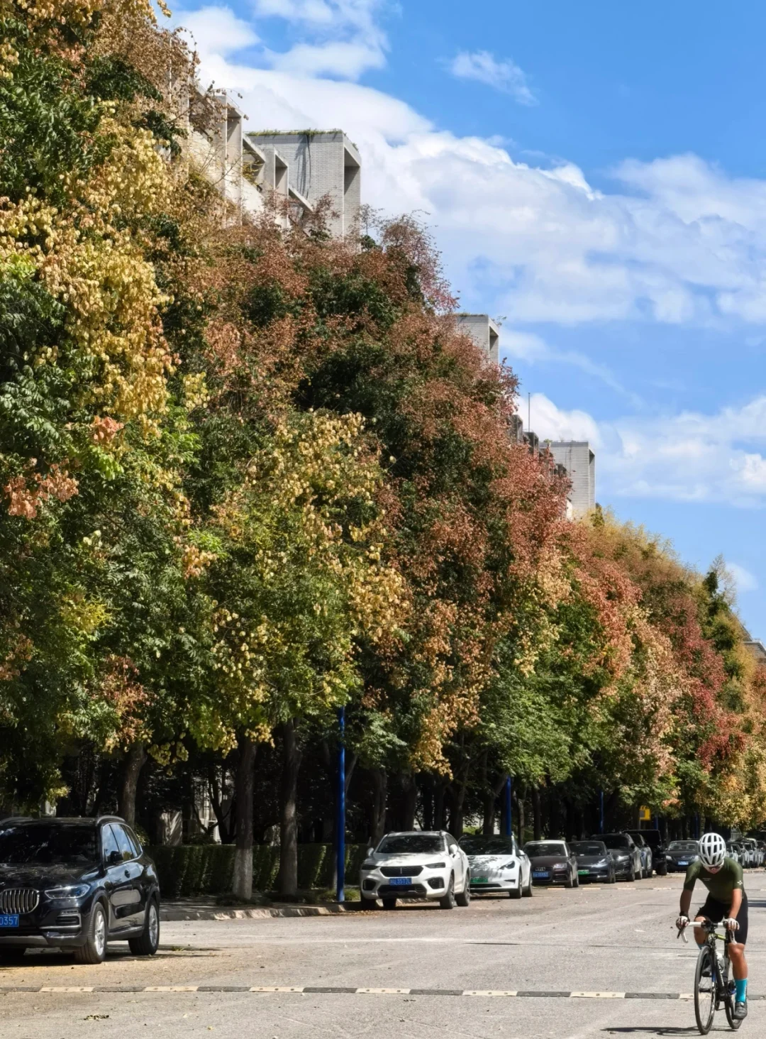 早八人的痛苦？不存在的！西外上课像逛景区