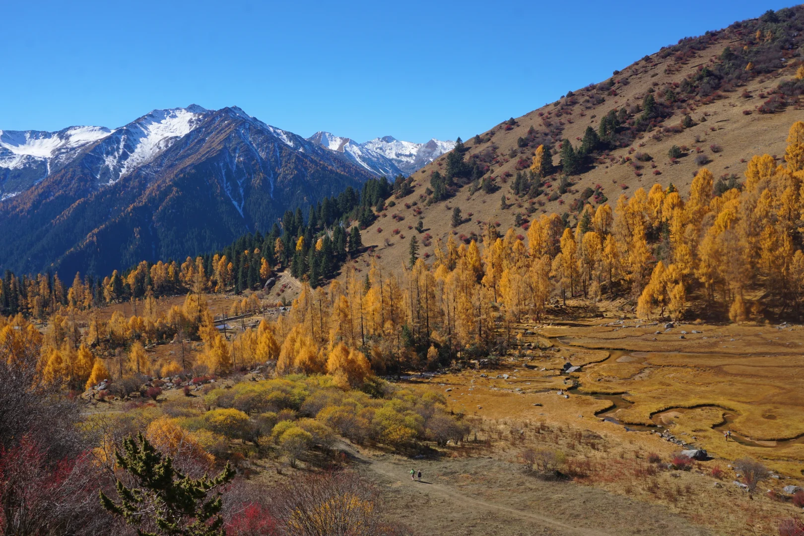 川西系列～小金～大坪牧业村～龙头滩