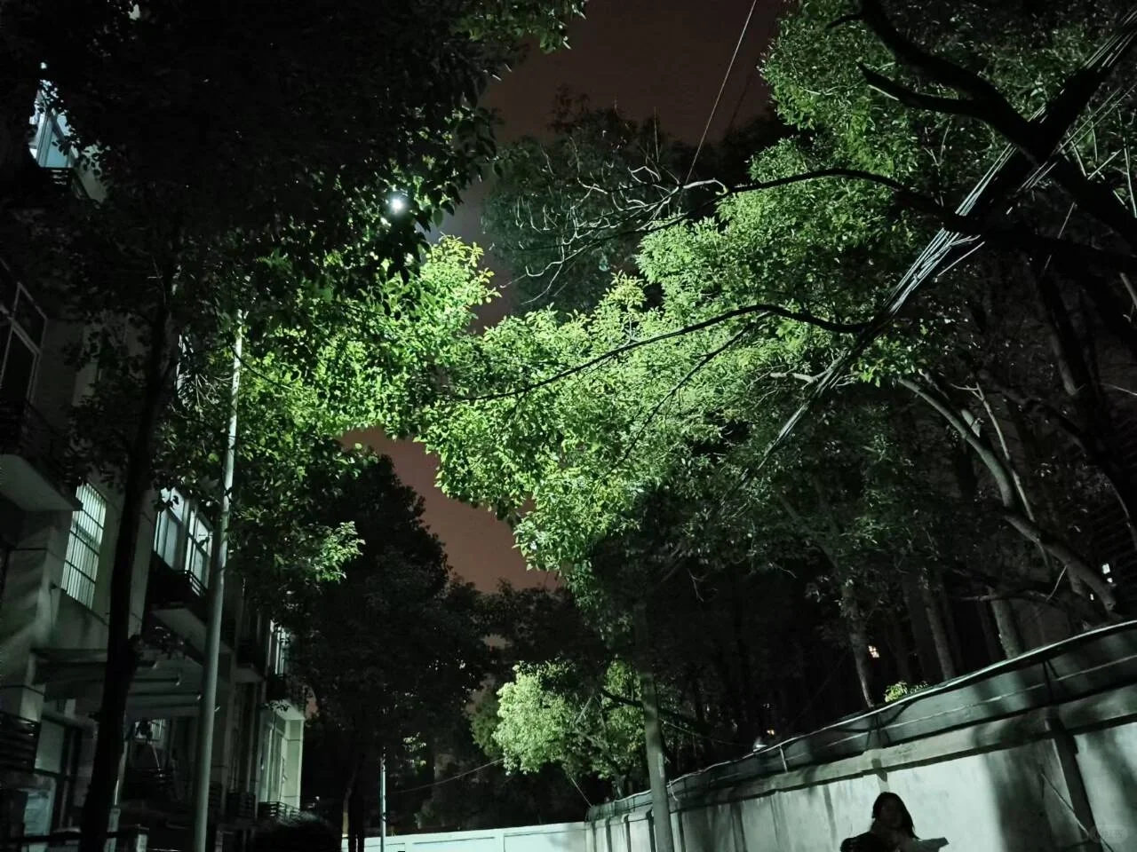 快来与大学校园续个火花吧！