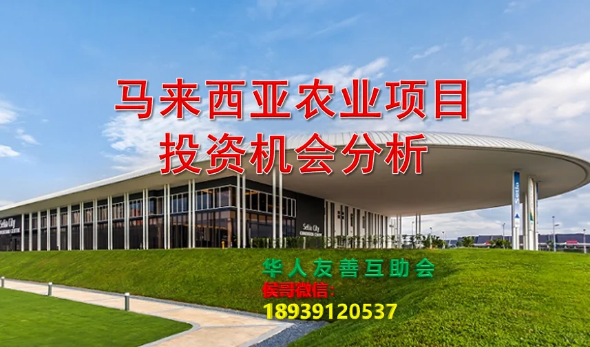 马来西亚农业投资必看