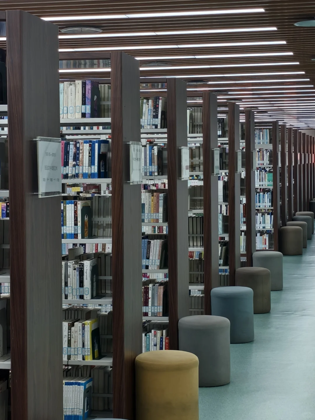 漫卷·象牙塔：中国政法大学丨图书馆