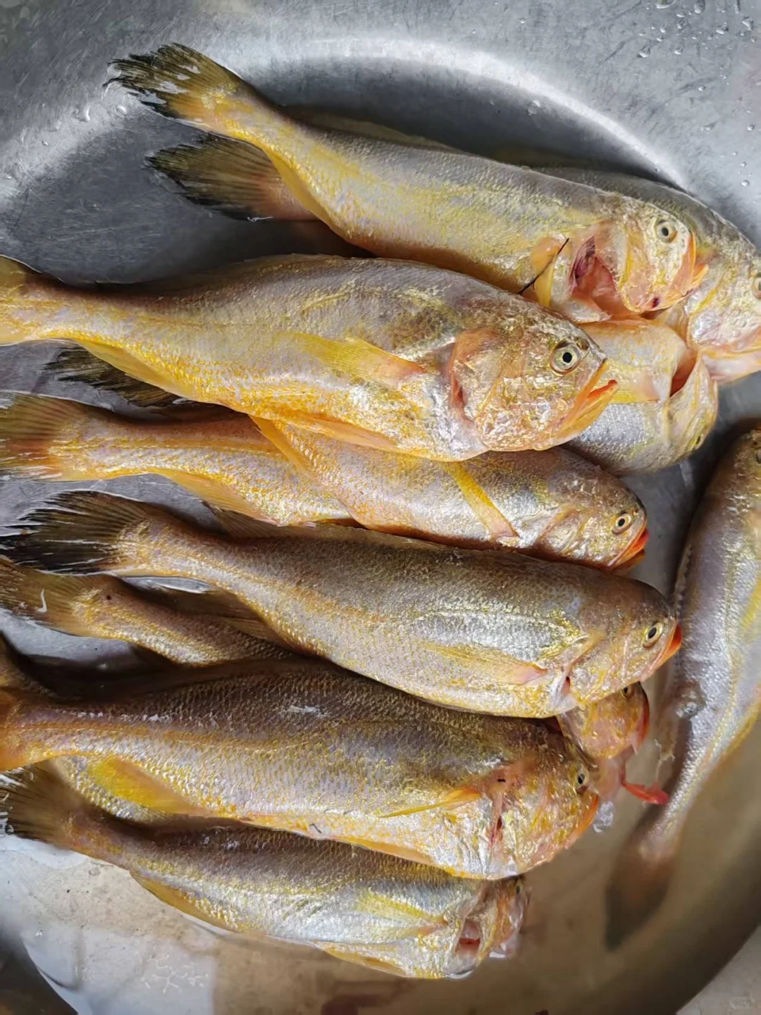 霞浦｜海鲜加工 （省钱又能吃到美味）