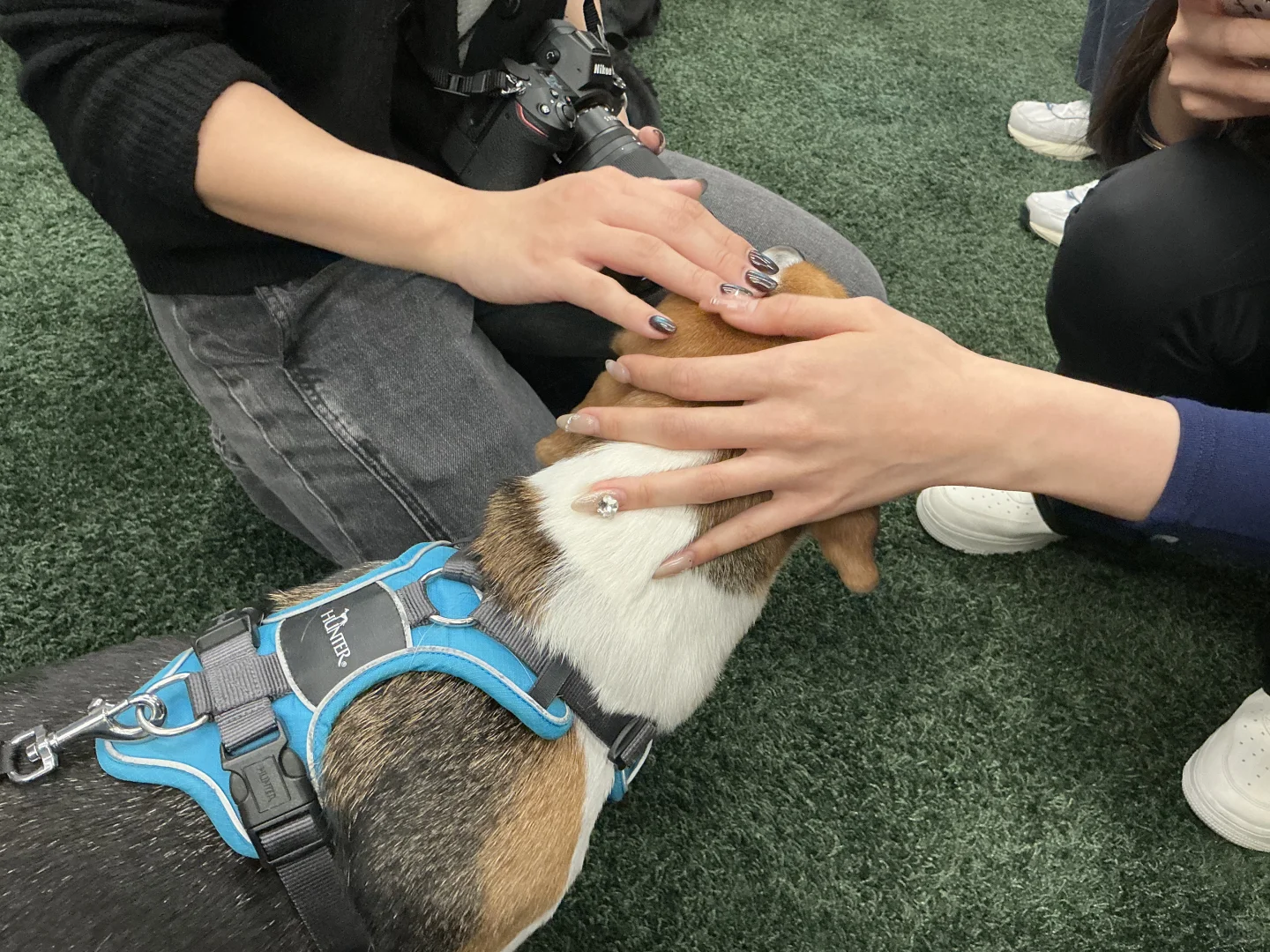 谁家图书馆可以撸小狗呀