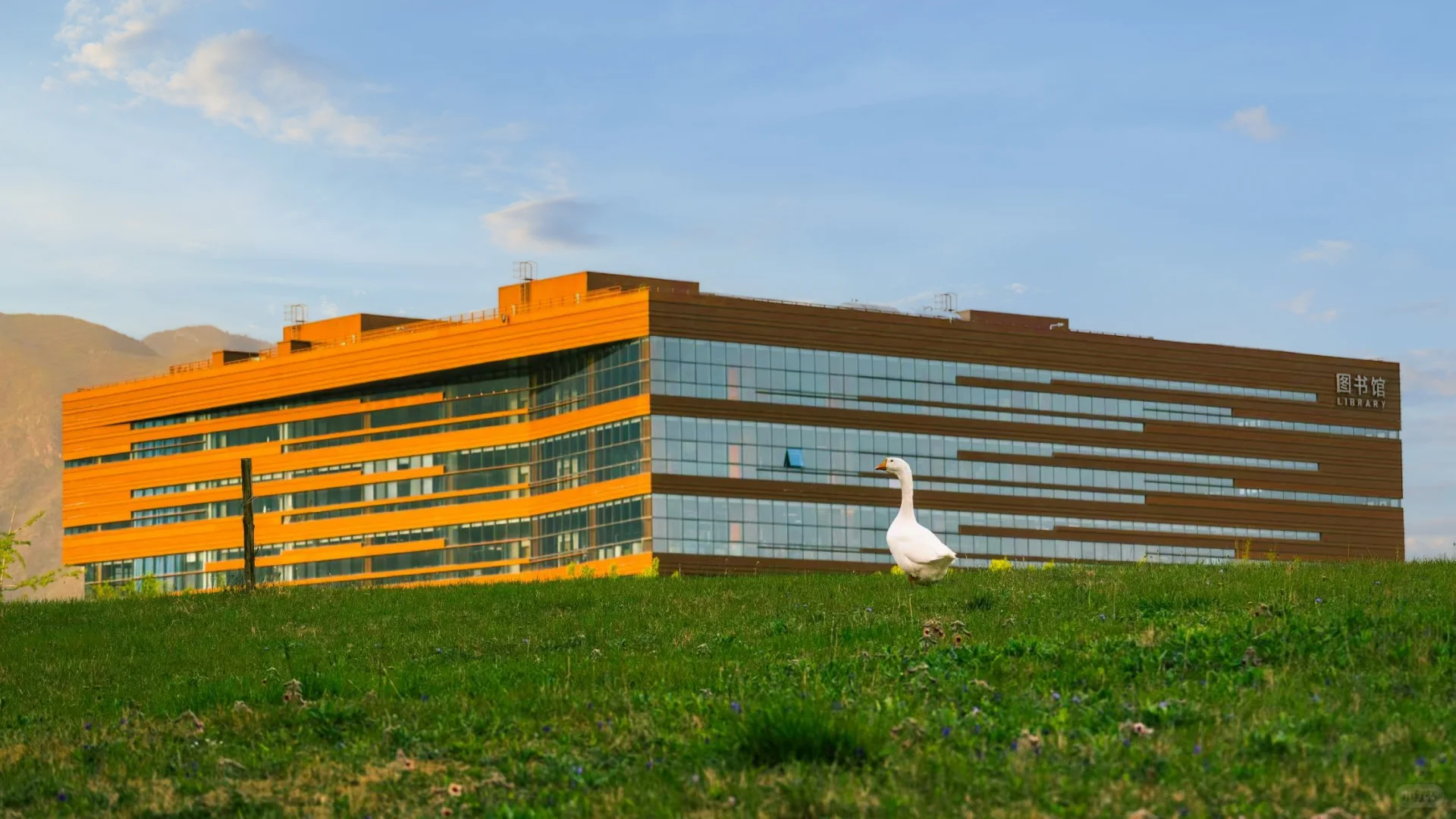 首都高校最美图书馆，北化自荐！