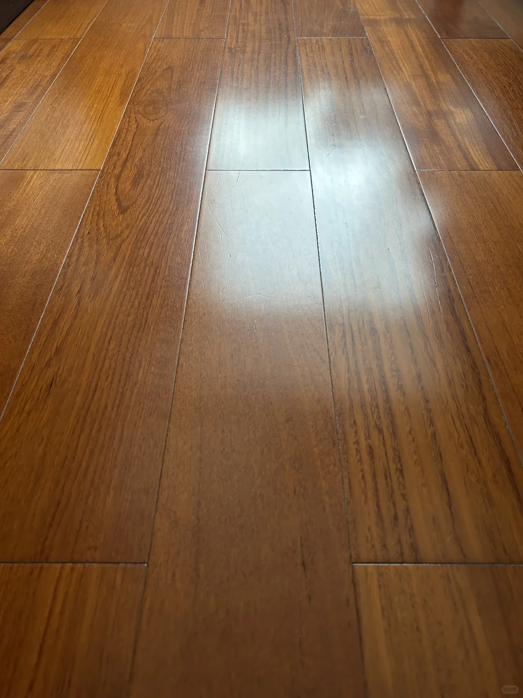 已婚有狗?洗地机 vs 洗地机器人如何二选一