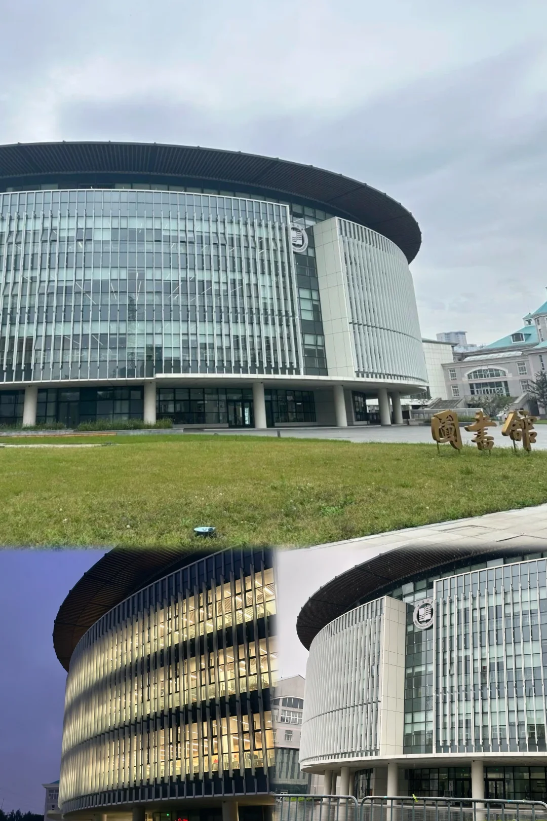 当影视剧里图书馆具像化—沈大图书馆