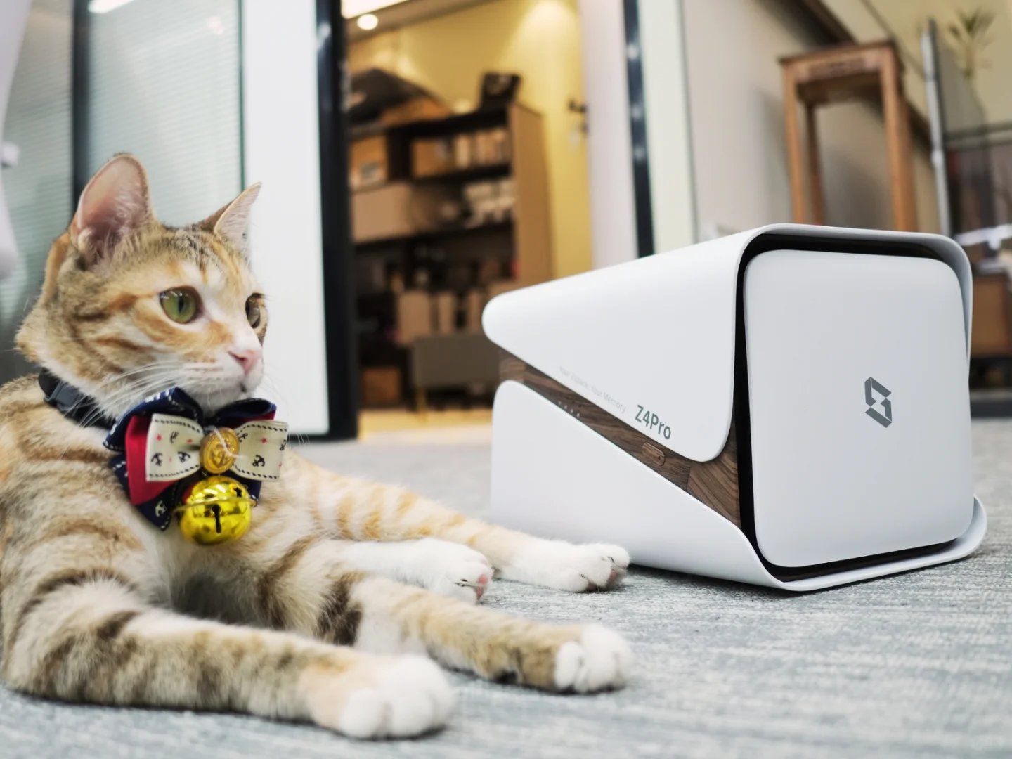 瞒着老婆买的NAS,被夸了一个星期!