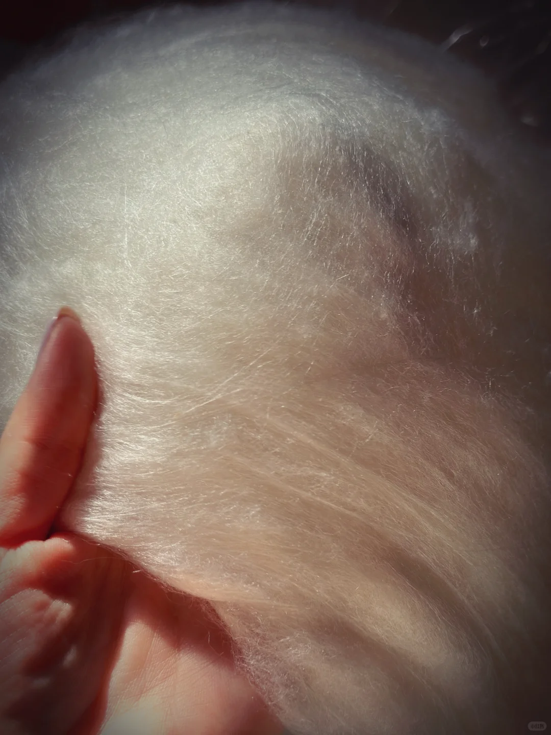 为热爱奔走的田野人