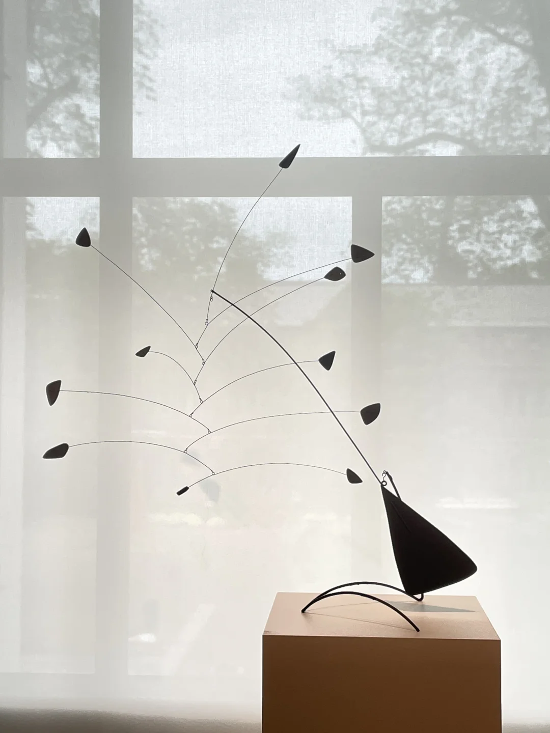 耶鲁让我真切的感受到对知识的尊重