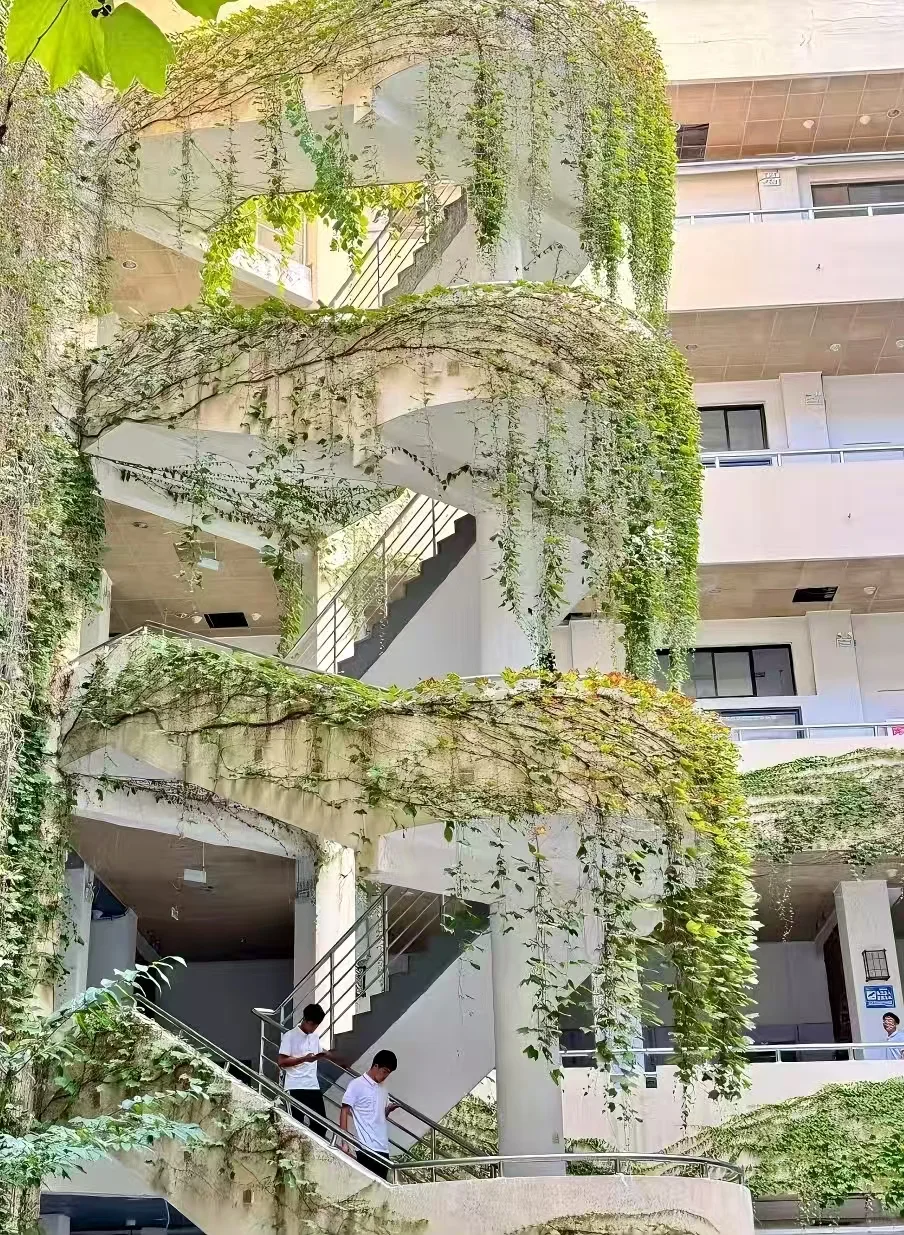 邯郸学院校园环境攻略来啦❗❗