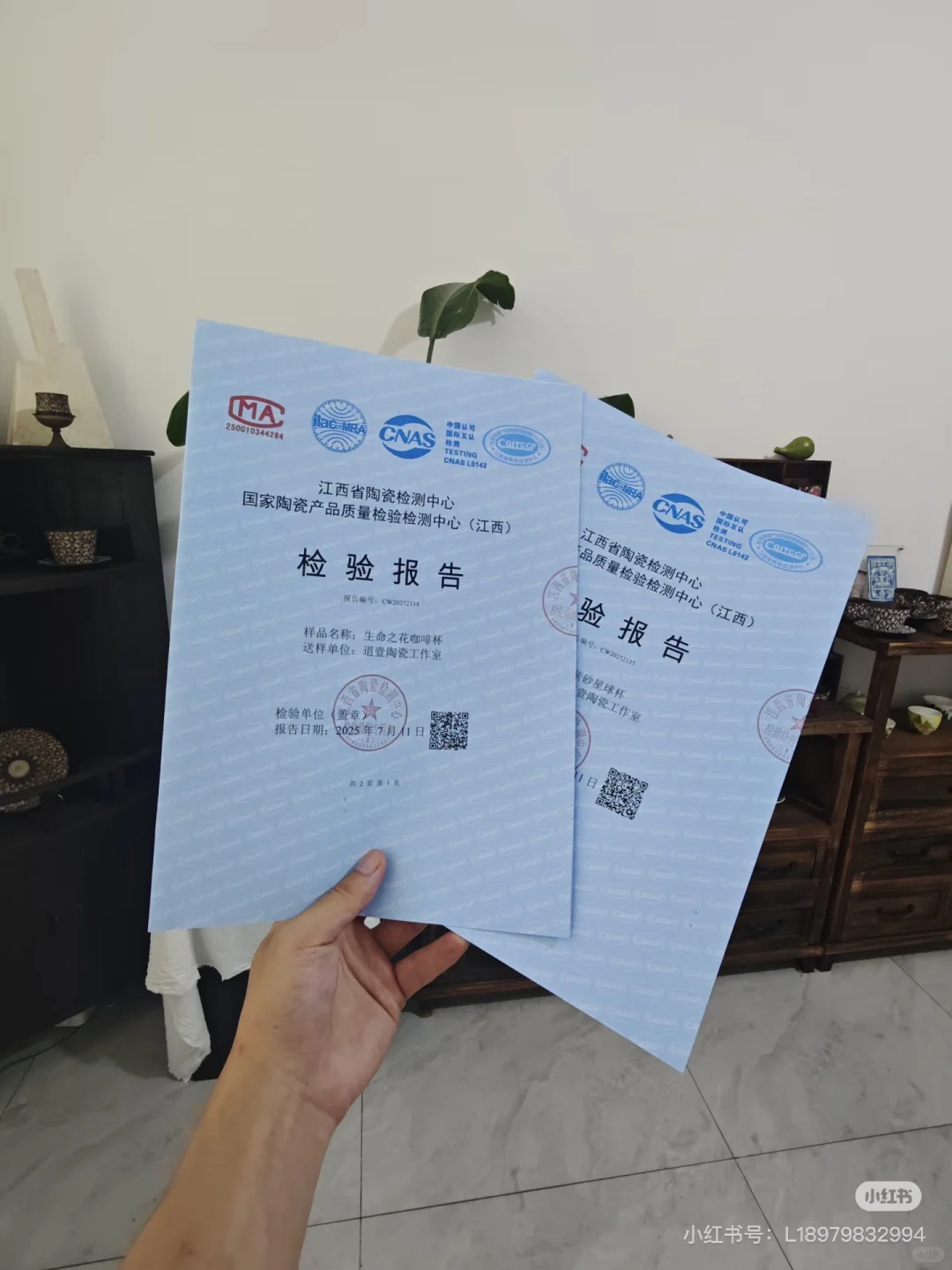 检测报告哪里办