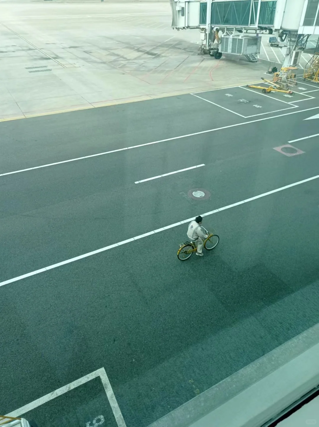 机场的各种职能车辆