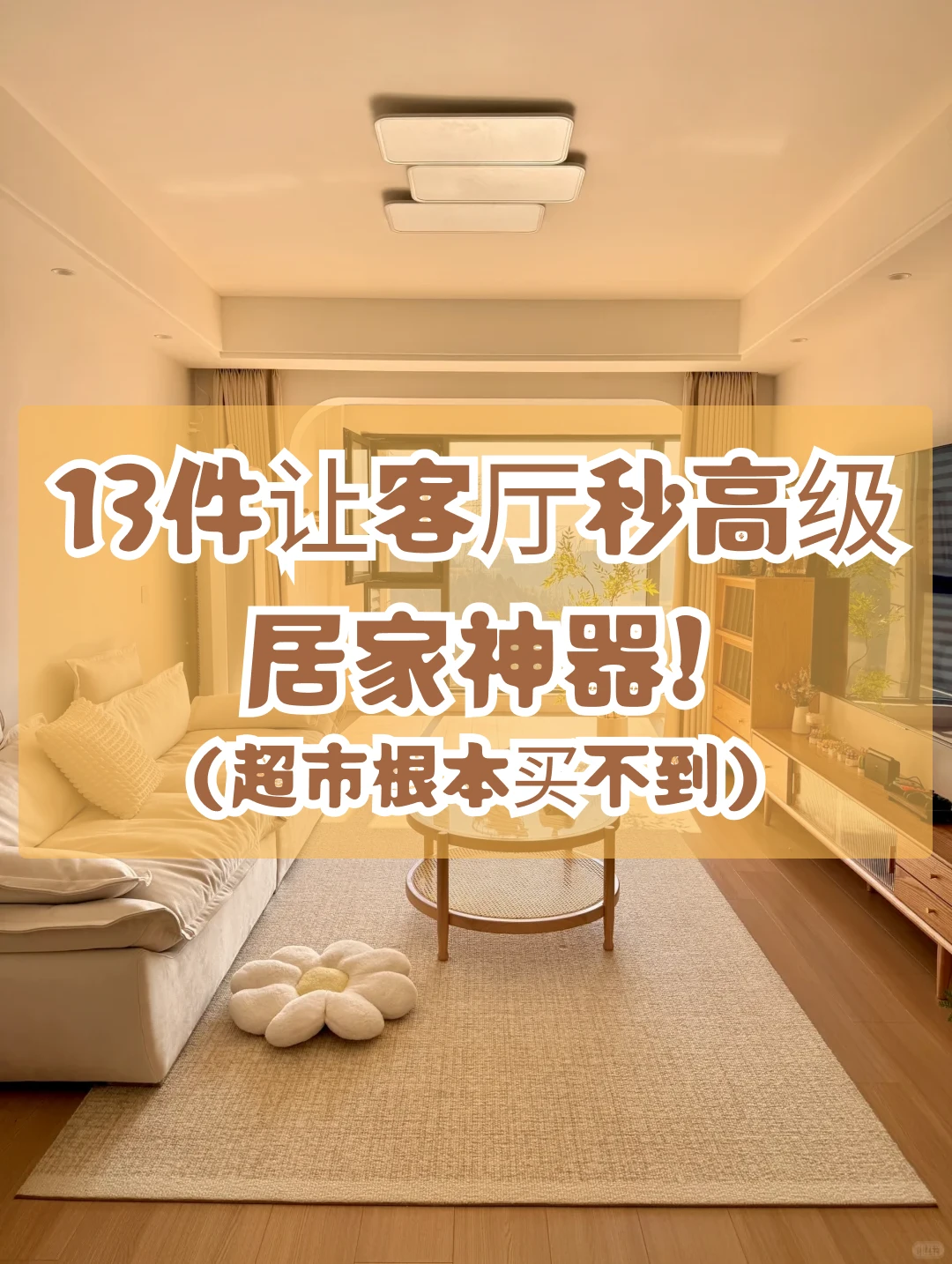 13件让客厅更高级的神器!超市买不到系列!