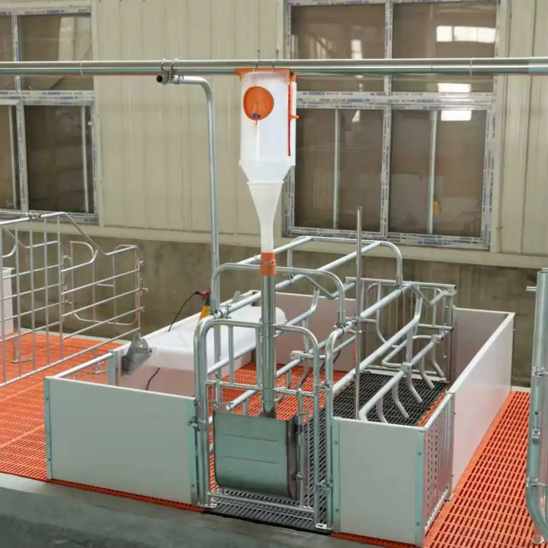 养殖设备一站式采购：养猪场母猪产床