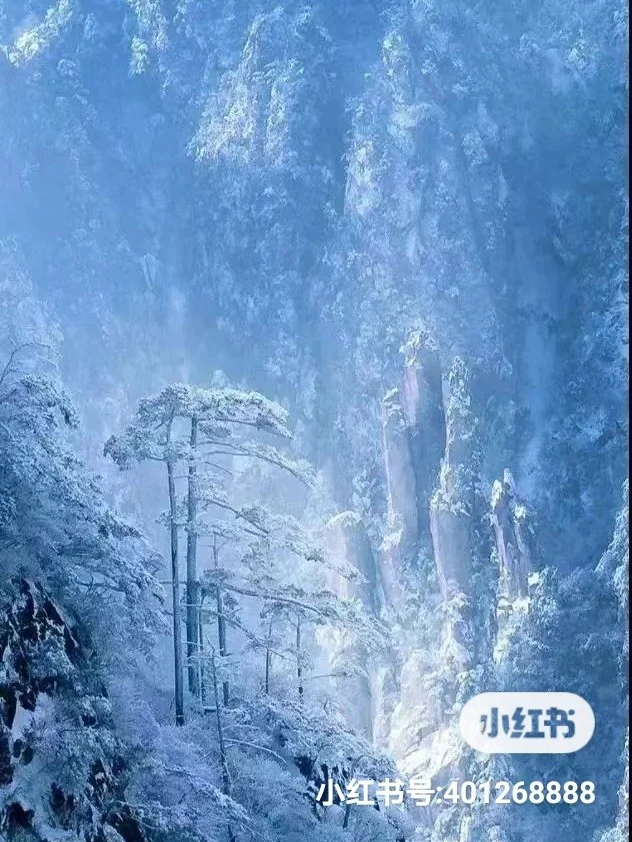 铁矿石期货上涨背后逻辑