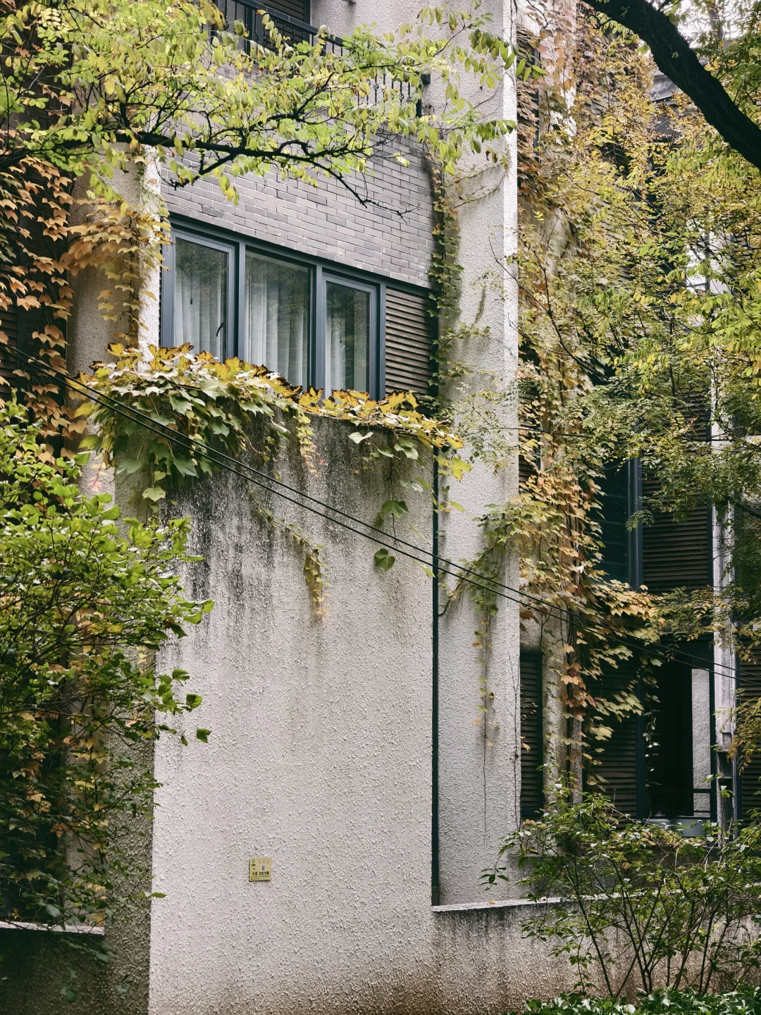 漫卷·象牙塔：清华大学 | 图书馆