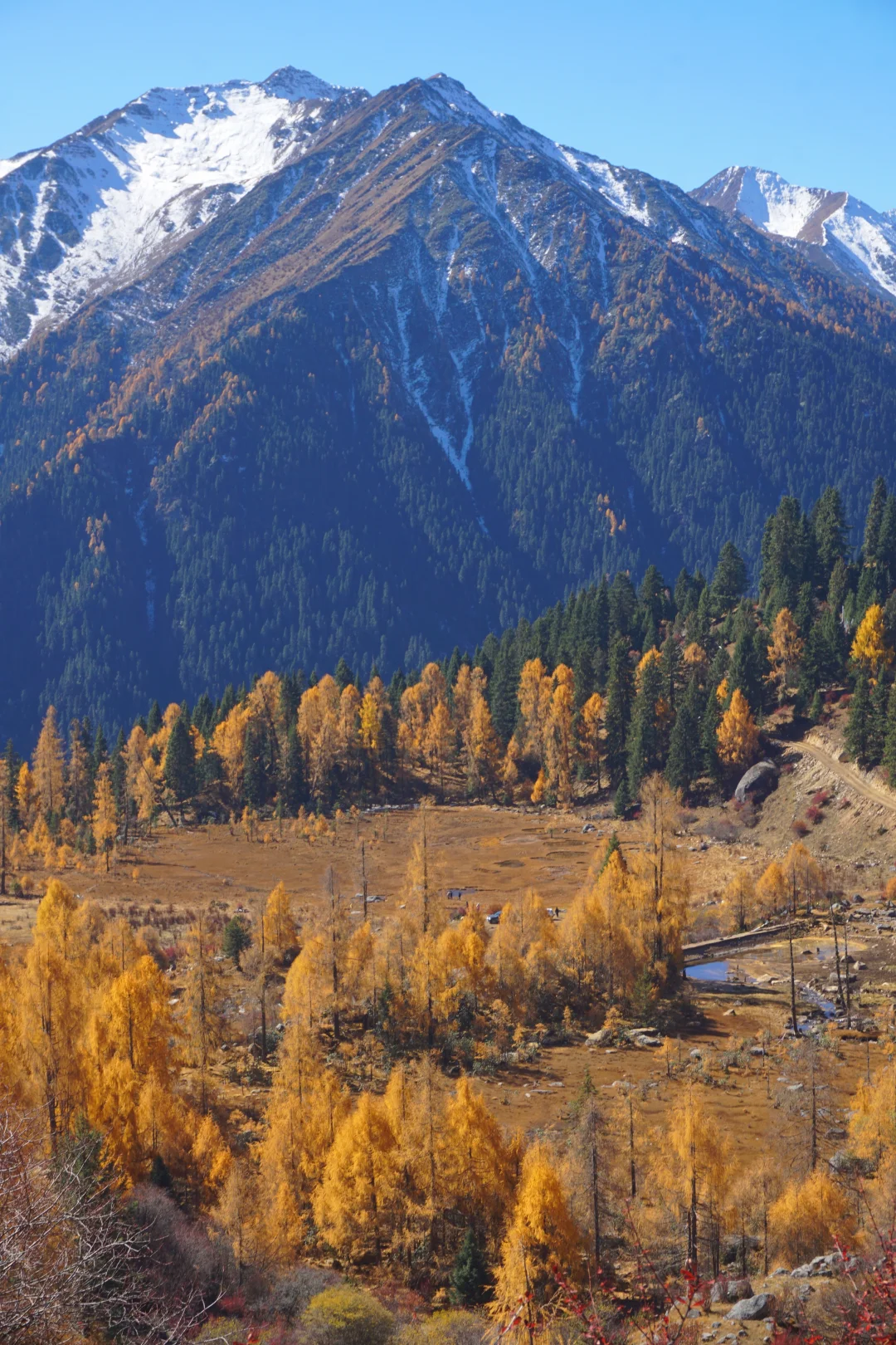 川西系列～小金～大坪牧业村～龙头滩
