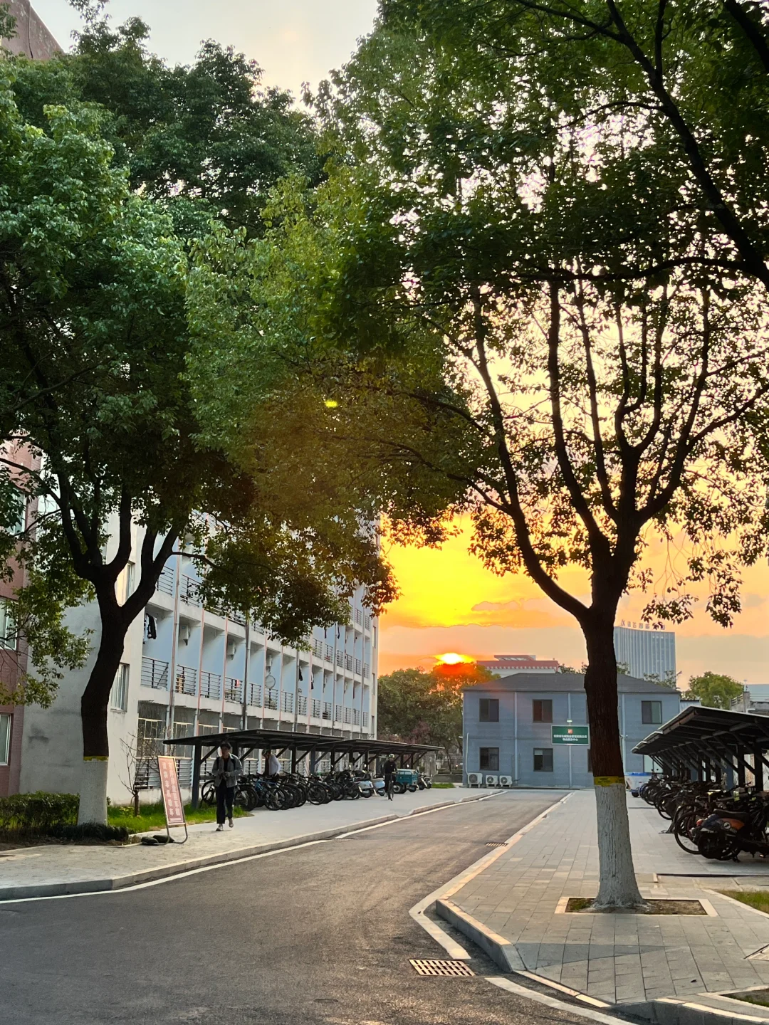 就在图书馆这样学学学（9h）