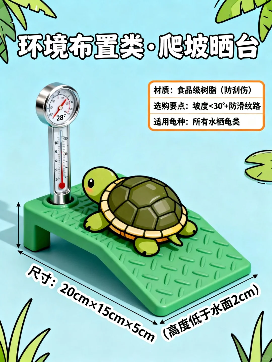 ?新手养龟不翻车！8件神器公开