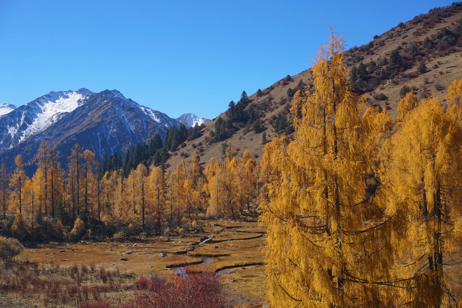 川西系列～小金～大坪牧业村～龙头滩