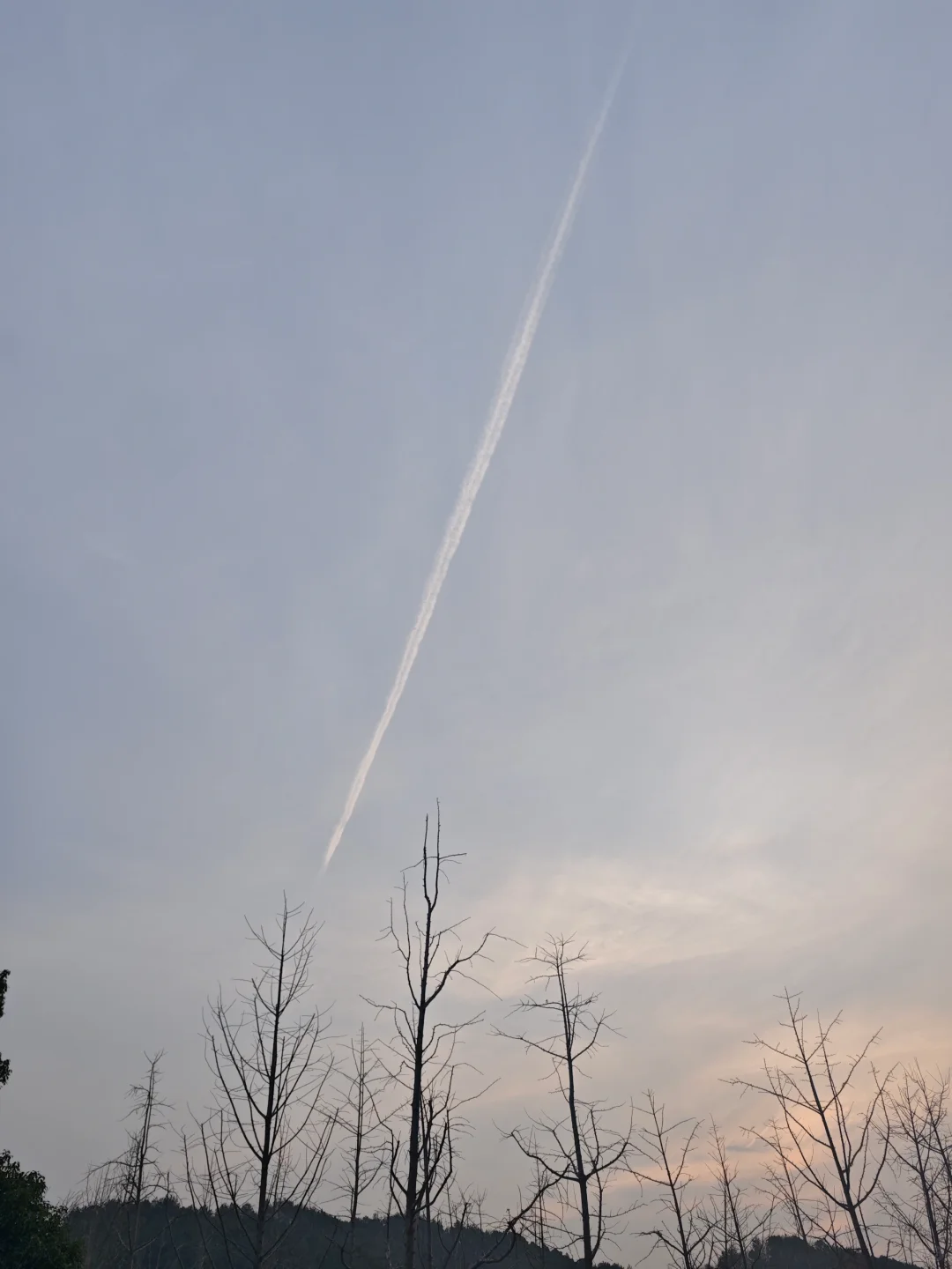 一百个赞离开图书馆