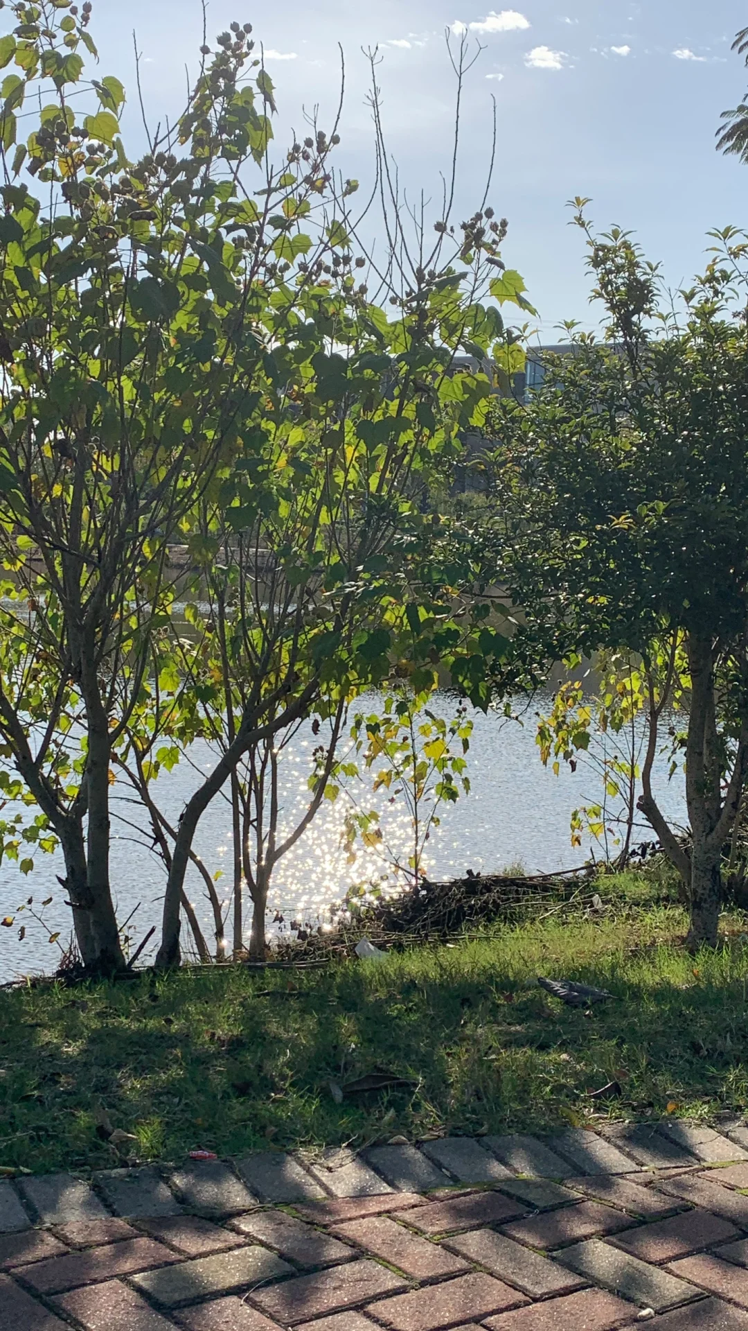 真的没人觉得期末周很幸福吗