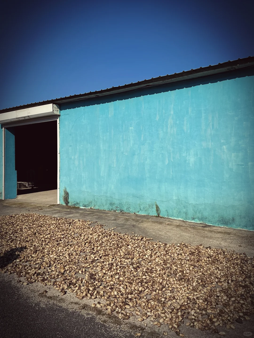 为热爱奔走的田野人