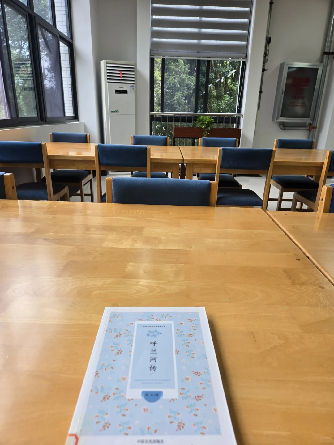 大专学校的图书馆真是宝藏