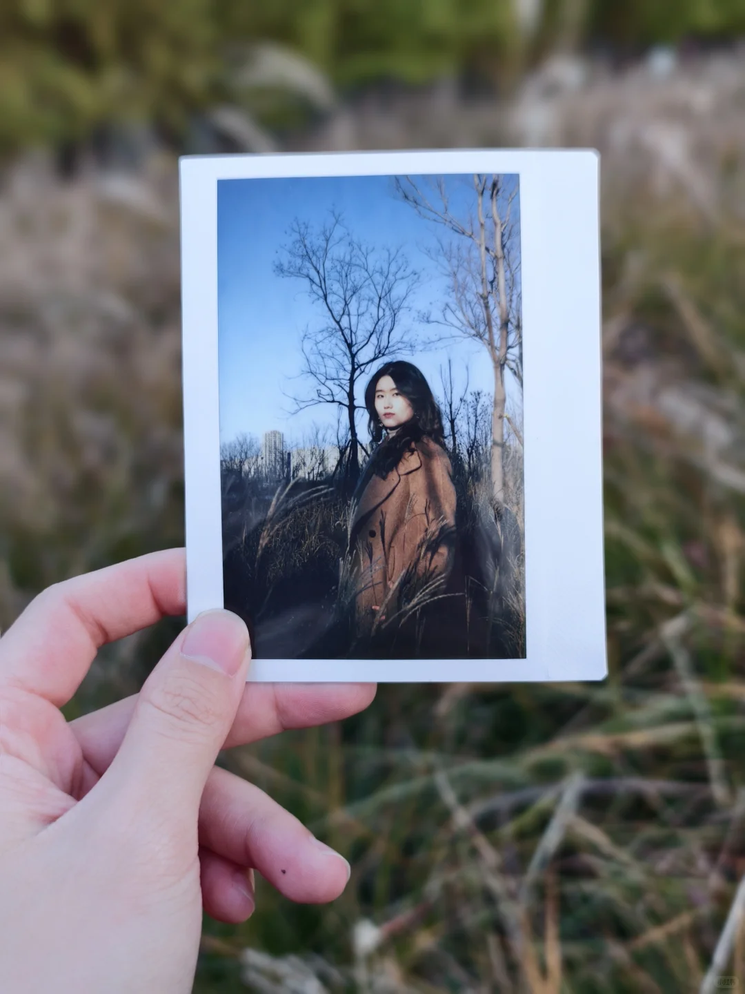 牧业经济有人愿意找我拍拍立得和数码照片吗