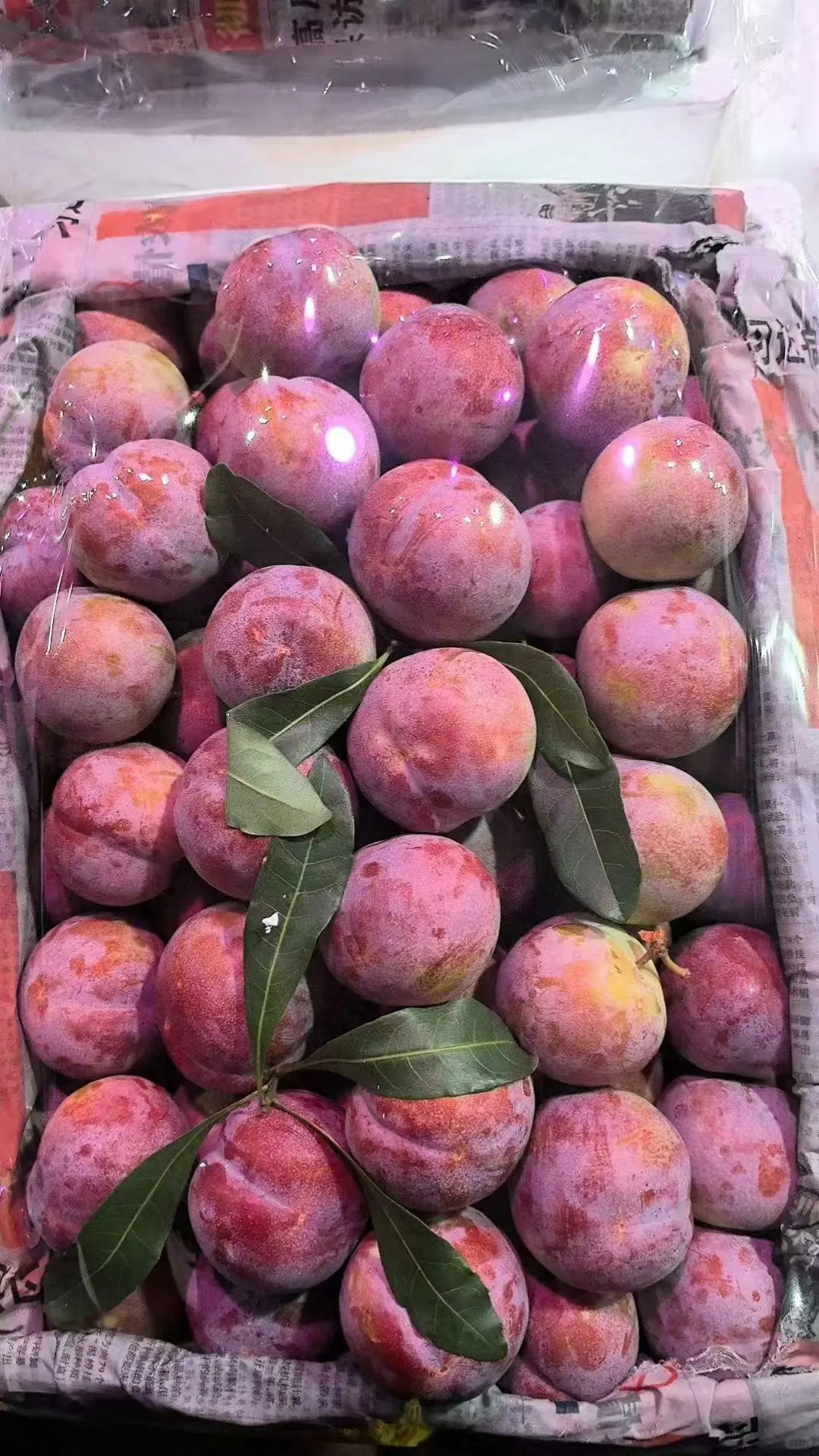 2025年11月20日穗虔优农水果批发价格