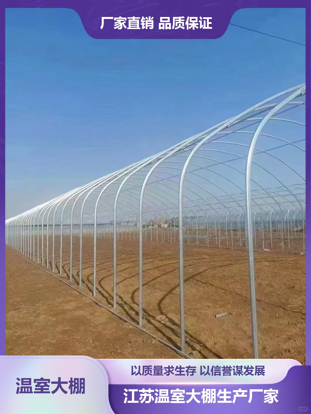 贵州草莓大棚生产厂家