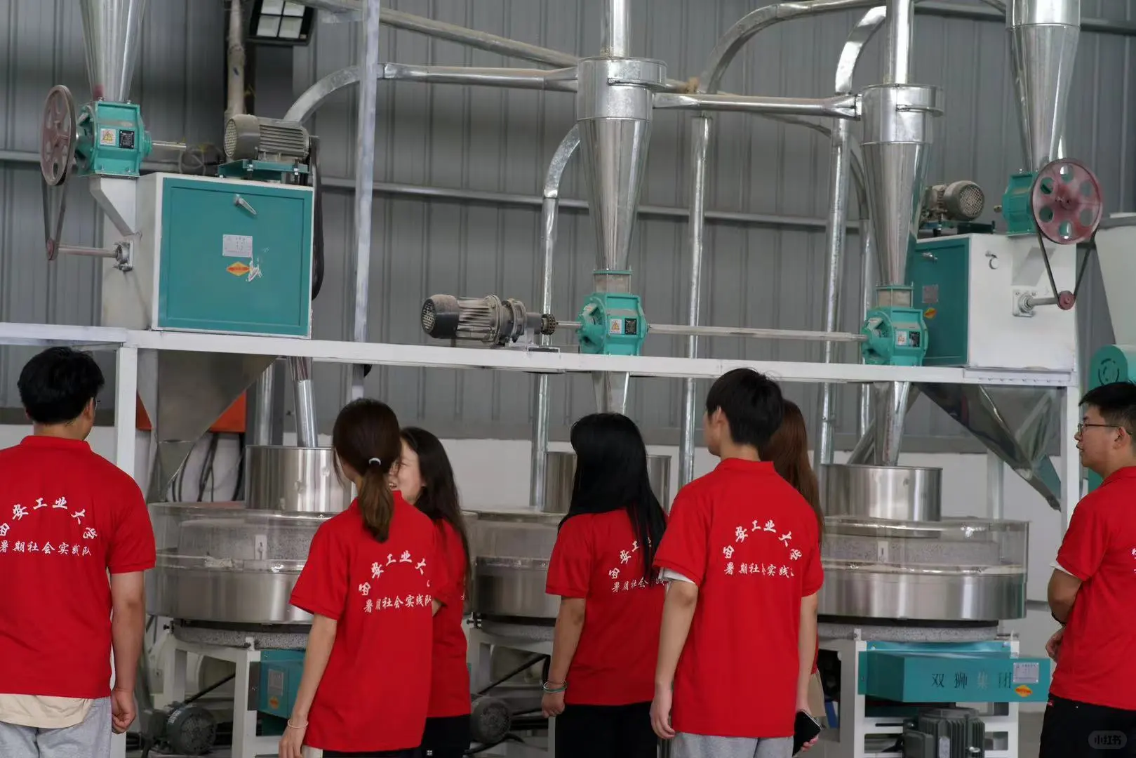 走进小麦加工基地