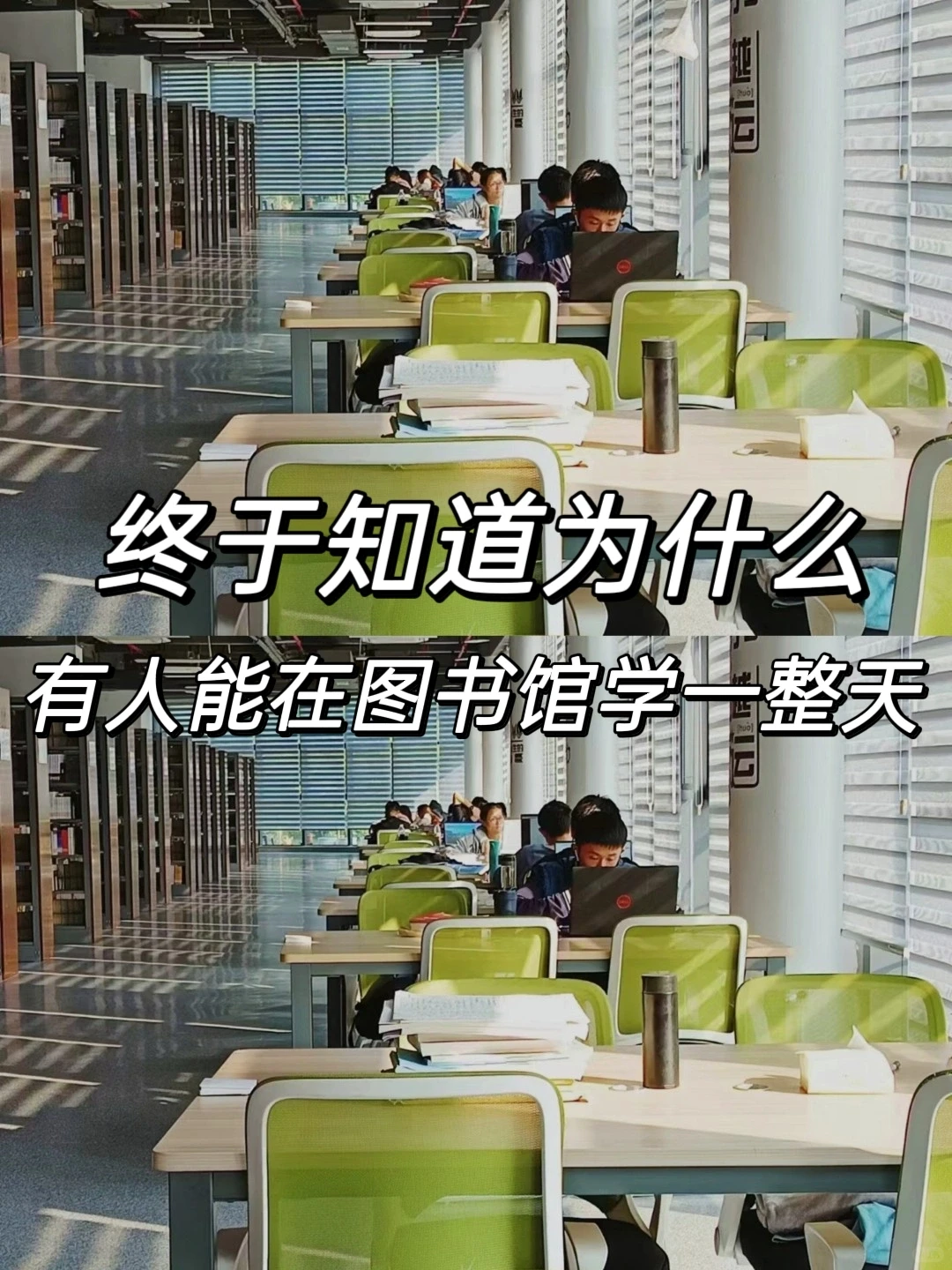 终于知道为什么有人能在图书馆学一整天