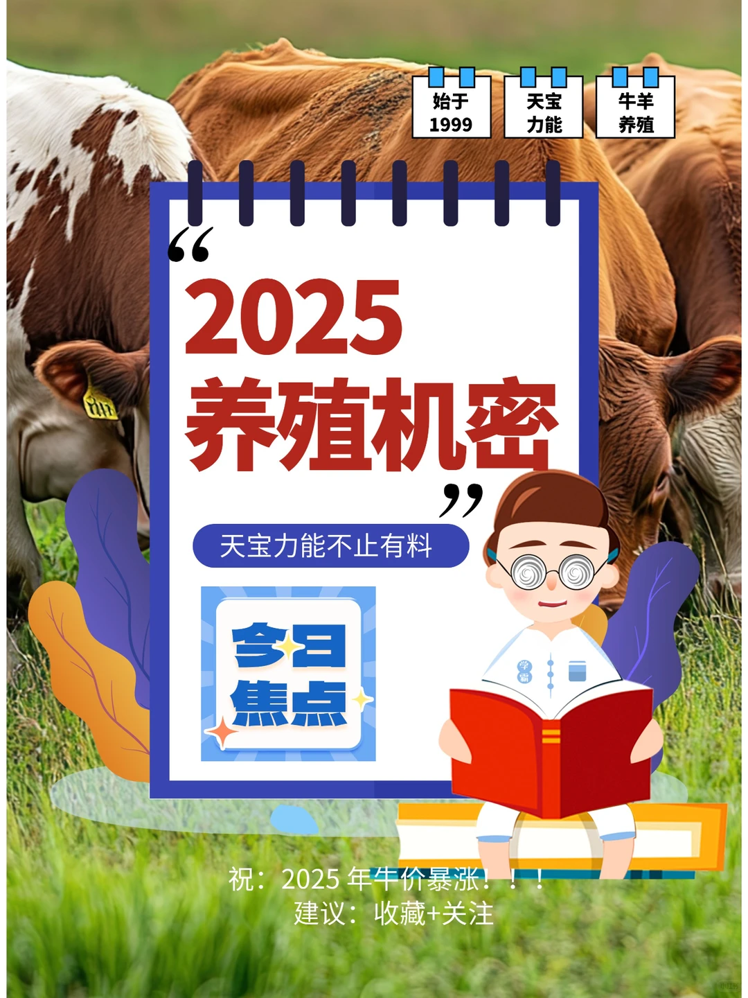 2025 牛养殖行业：机遇与挑战大揭秘！