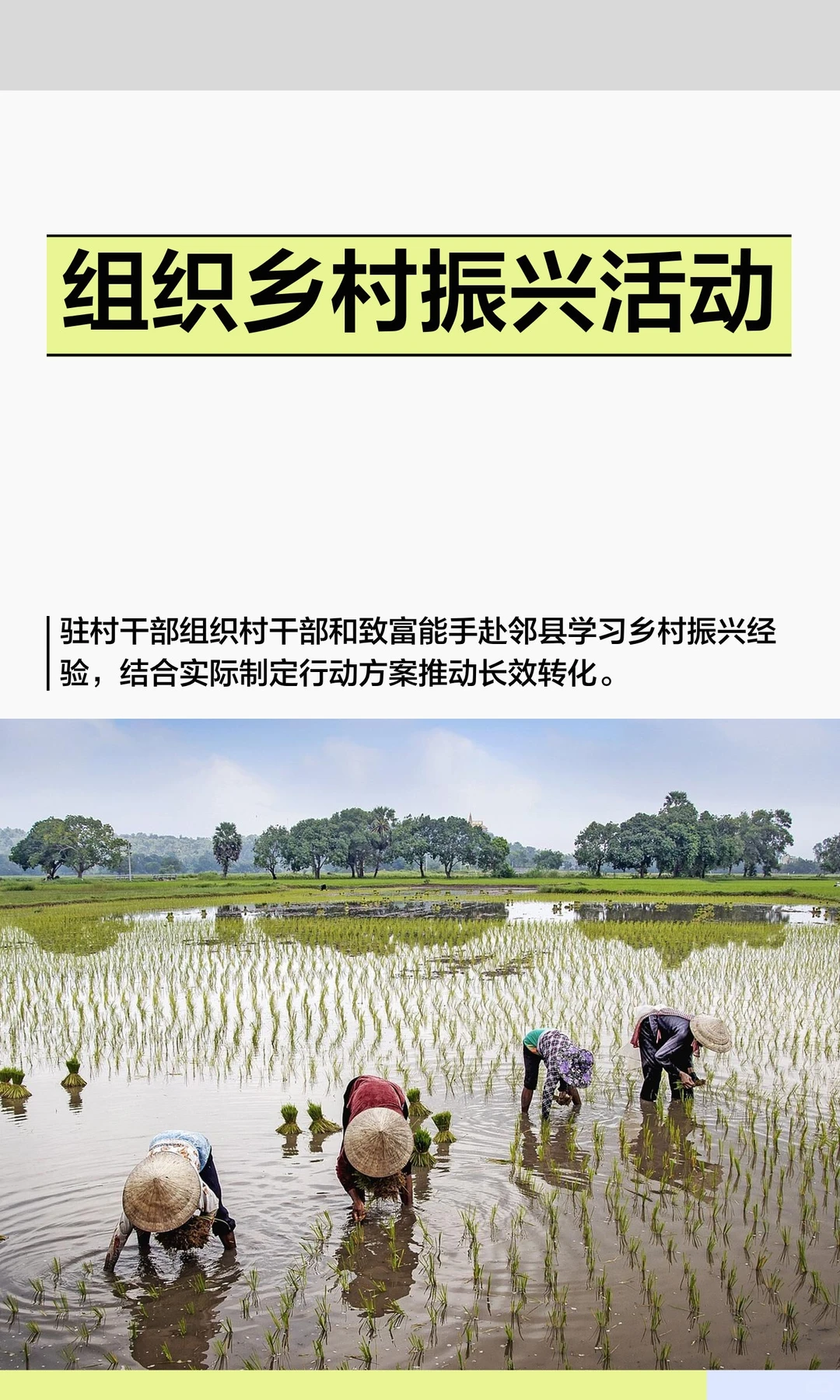 面试模拟题：组织乡村振兴活动