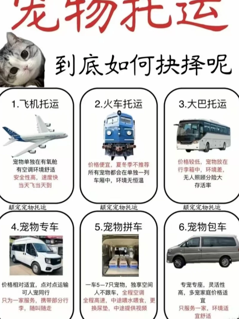 吕梁正规宠物托运-宠物猫狗运输