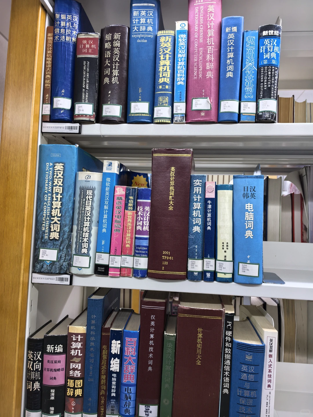 氛围感拉满，亚洲第一的图书馆