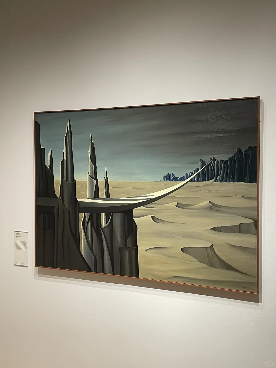 耶鲁让我真切的感受到对知识的尊重