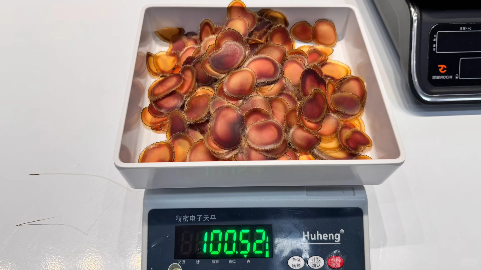 人工养殖双阳梅花鹿鹿茸