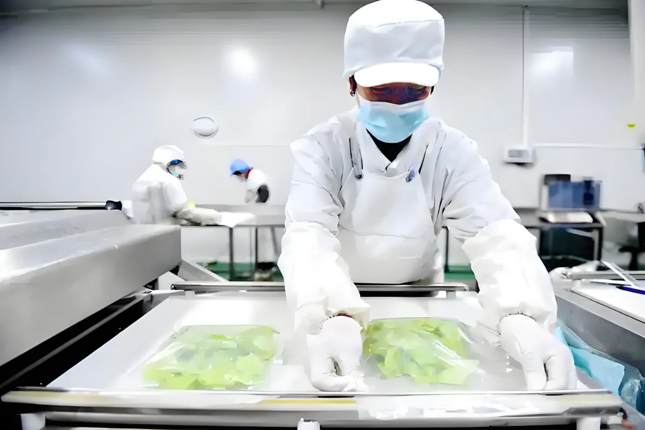 以净菜加工生产线设备为引擎，驱动乡村振兴