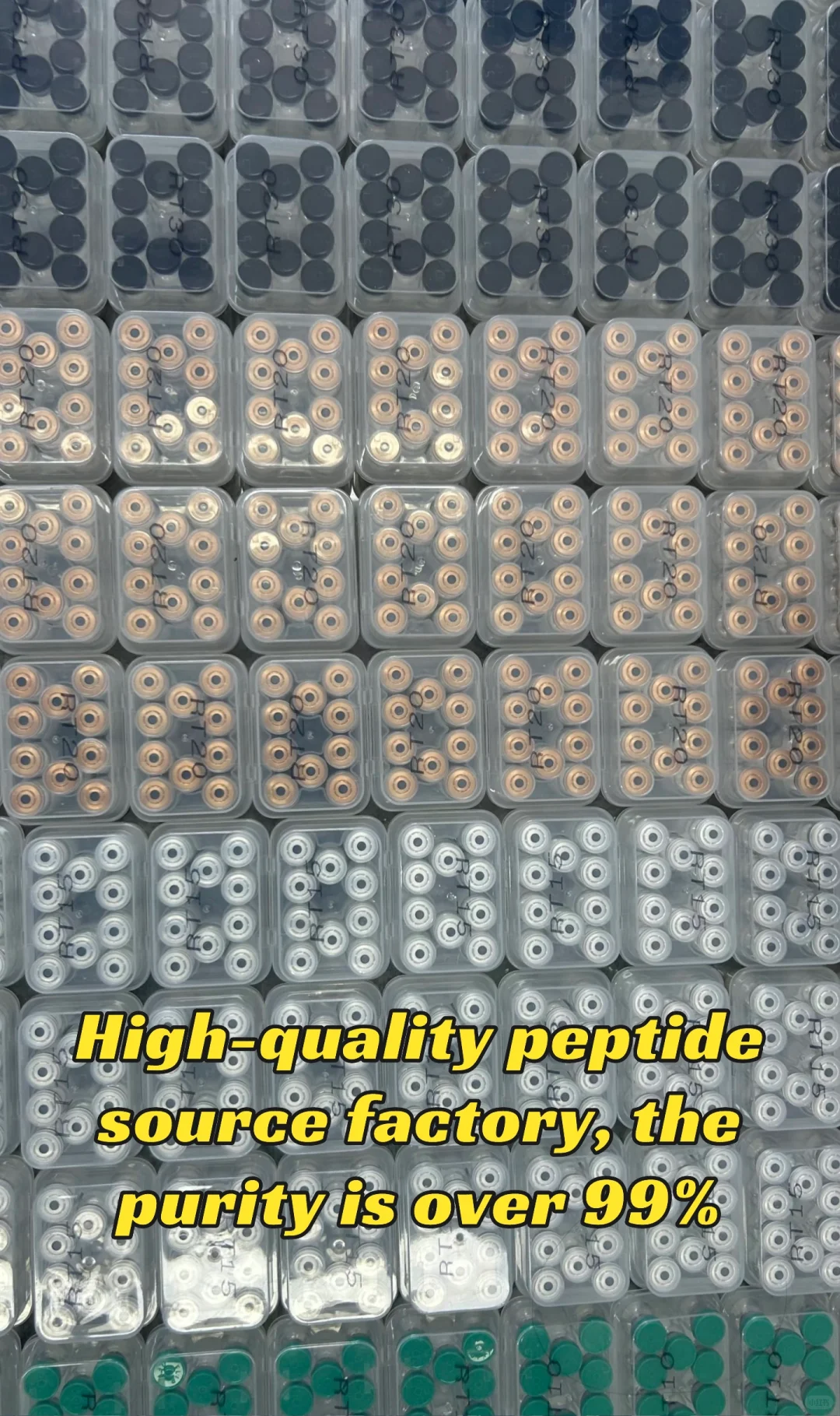 源头工厂，高品质多肽，Peptides