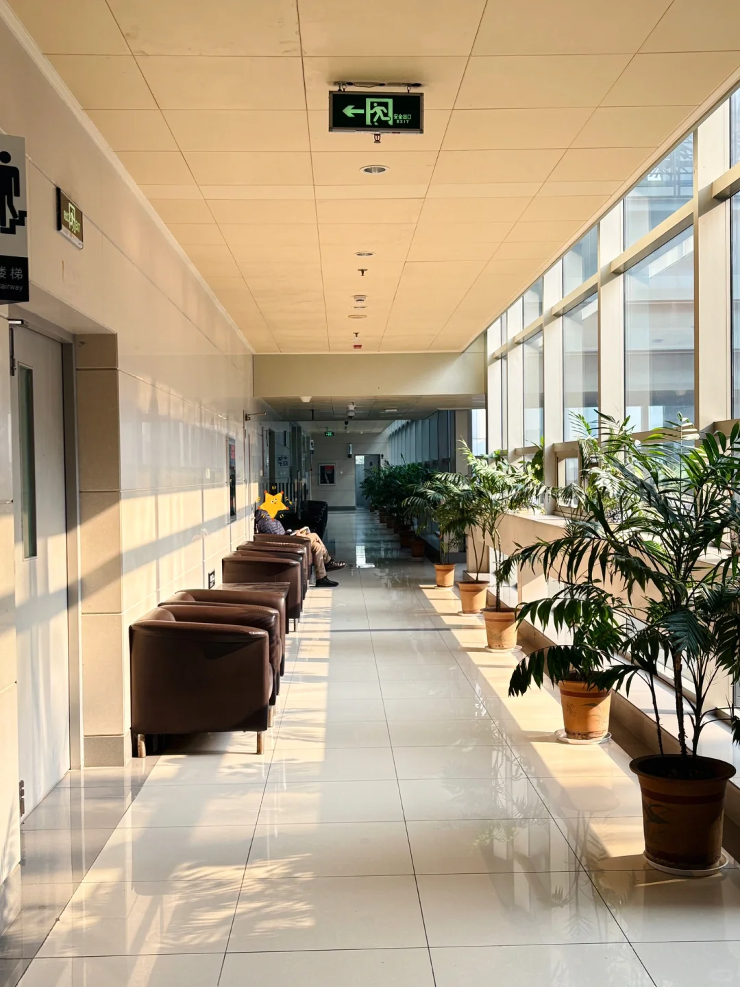 不止迪迦，图书馆里也有“光”的力量