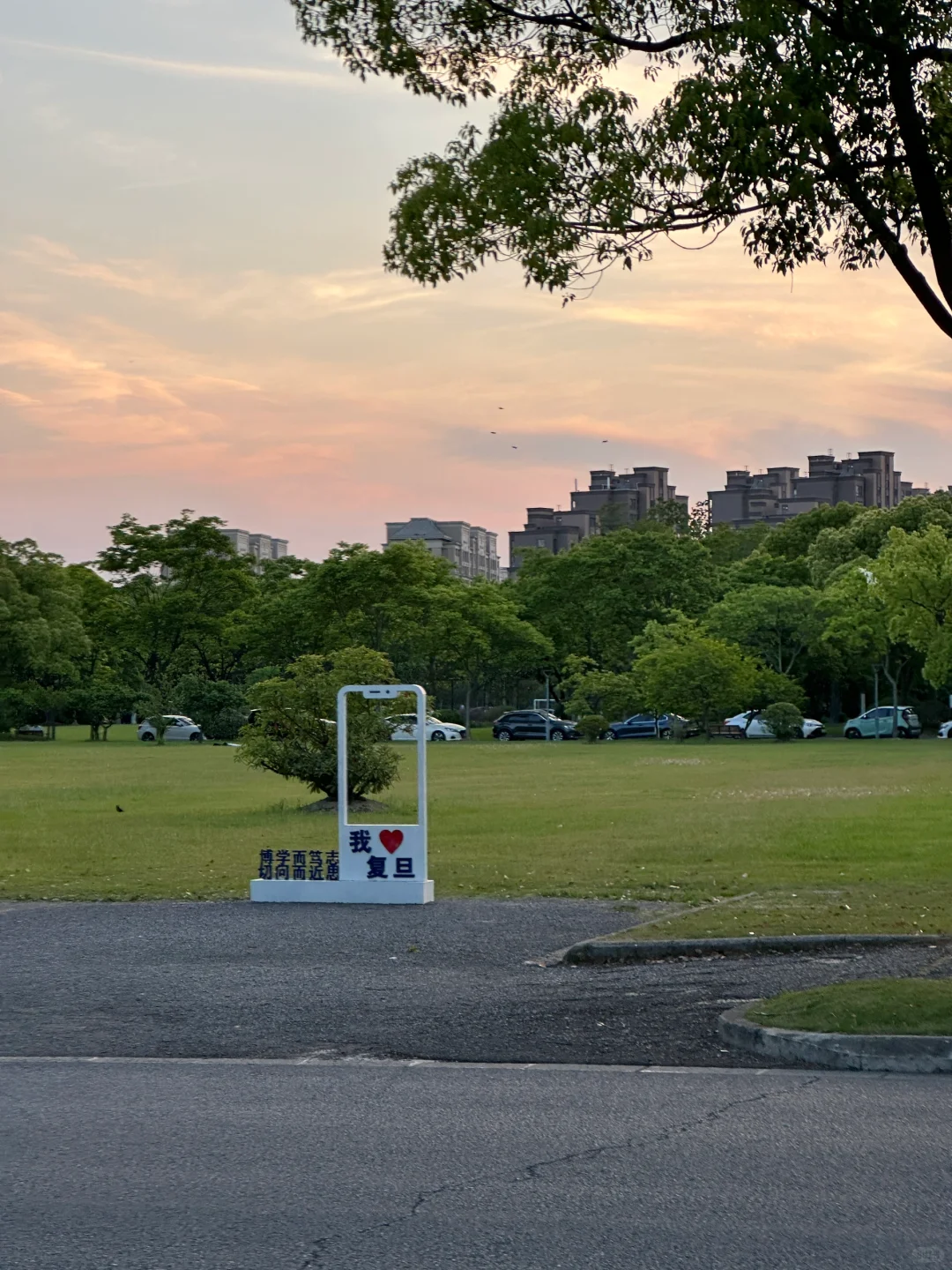 大爱复旦大学的图书馆??