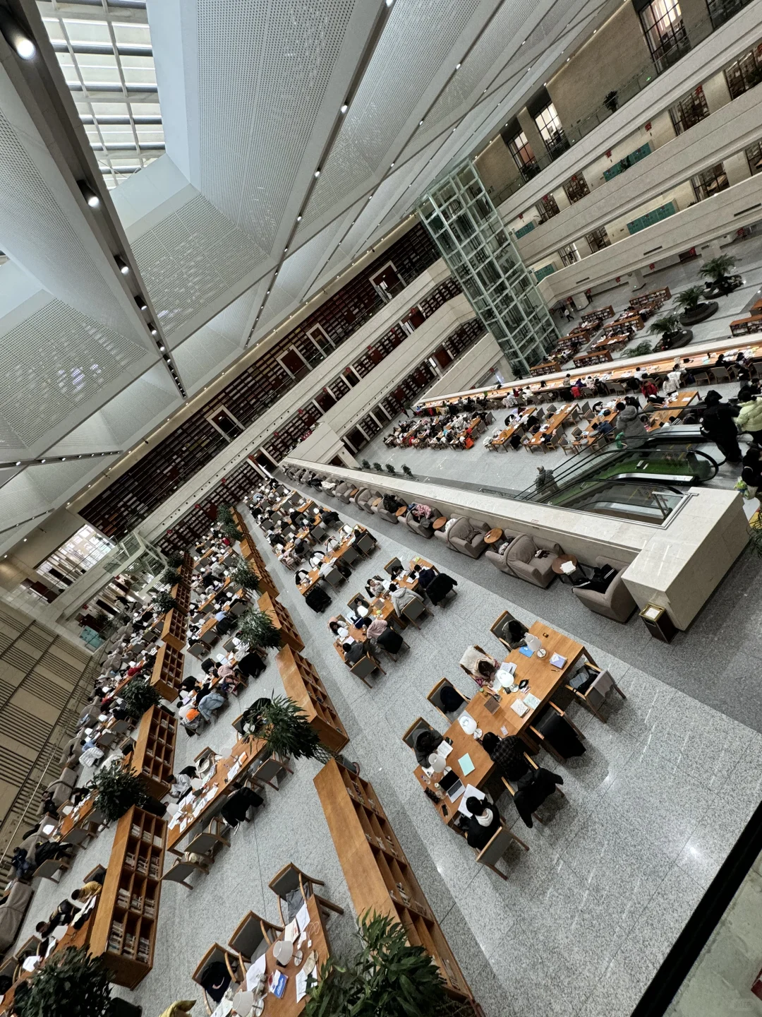 探店！吉林省图书馆