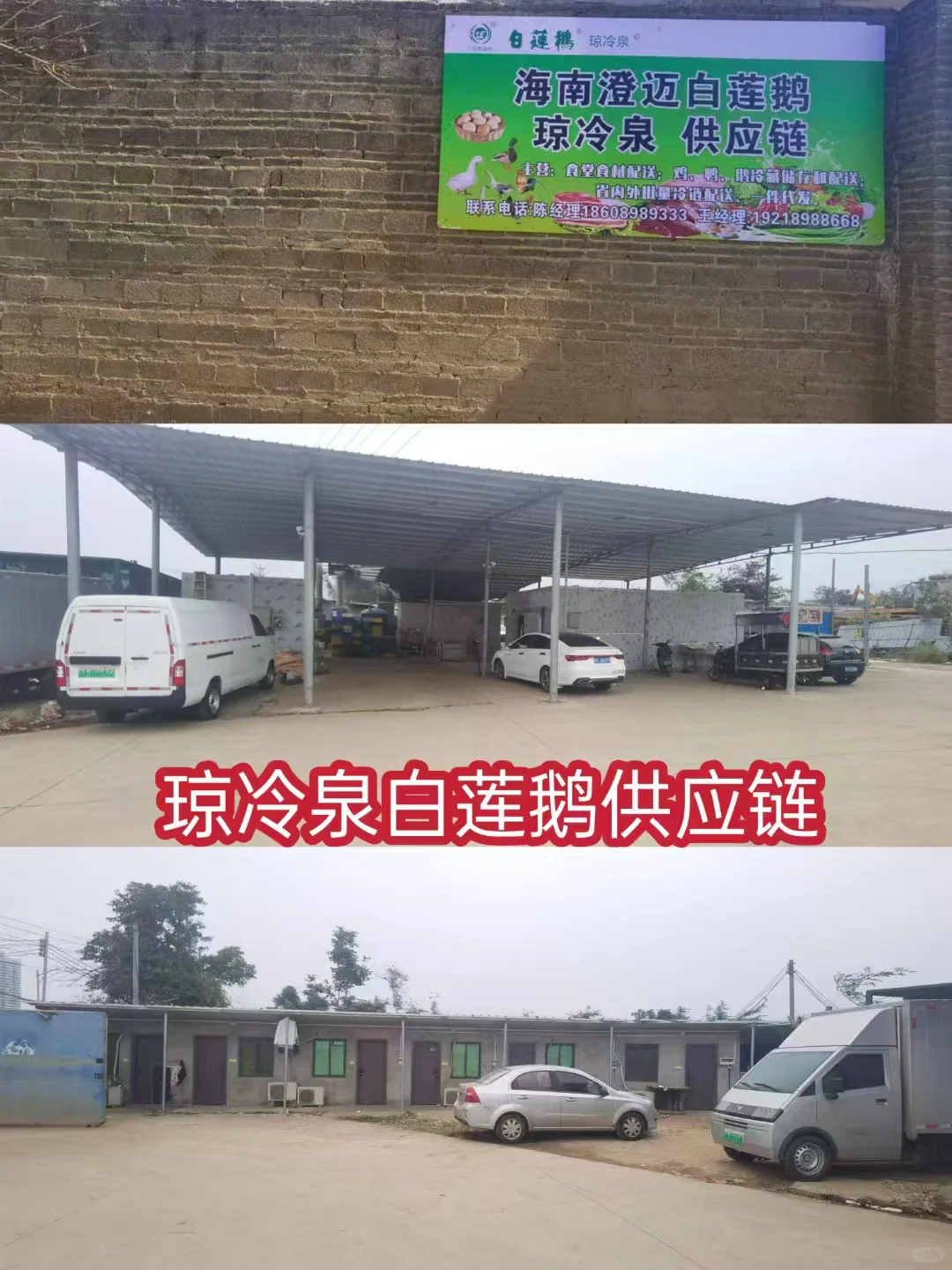 白莲鹅集团简介