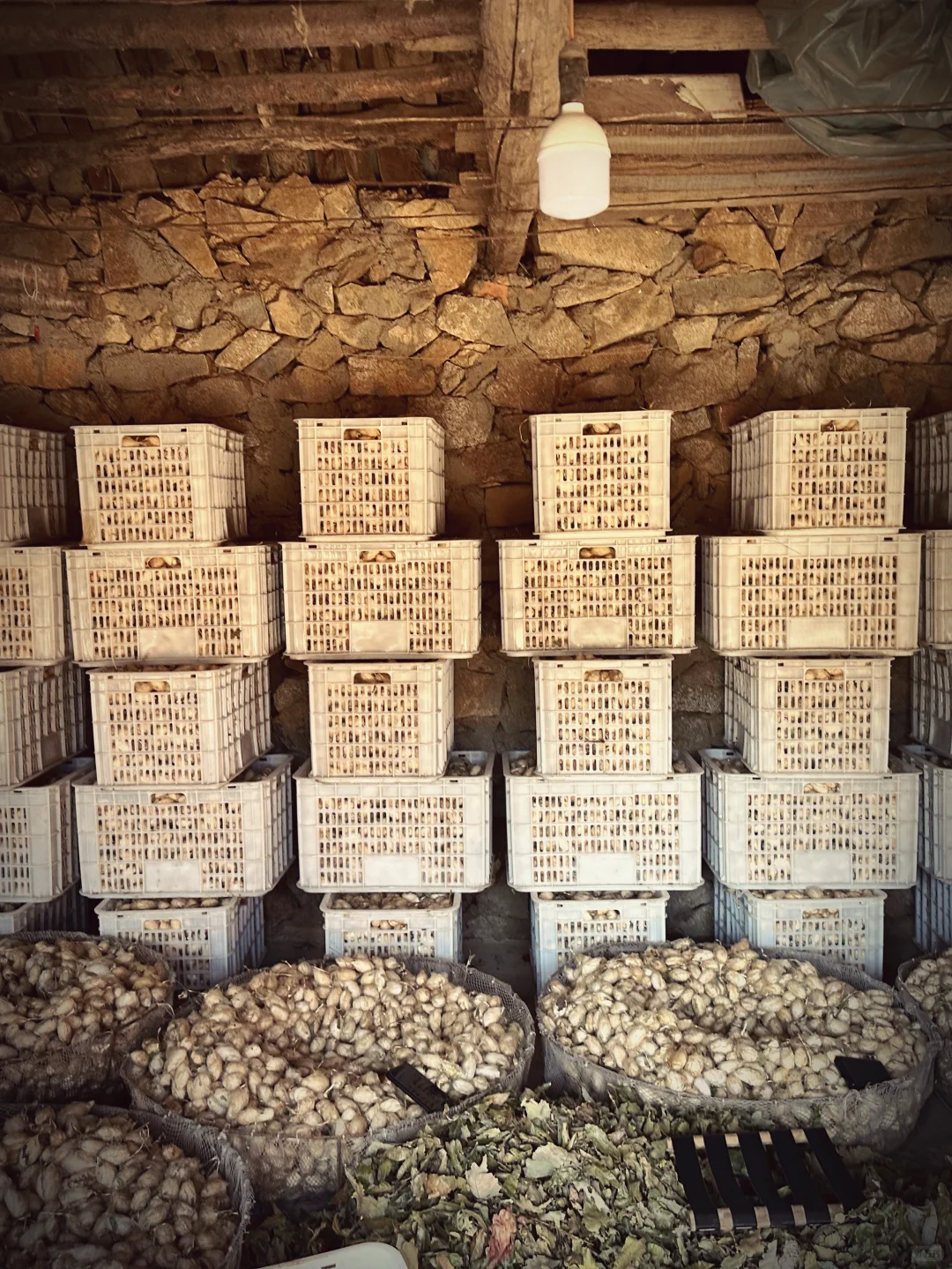 为热爱奔走的田野人